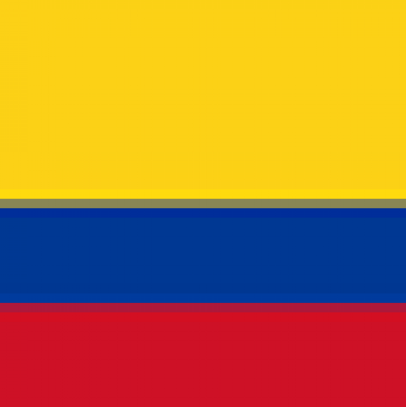 Astrologer in Colombia
